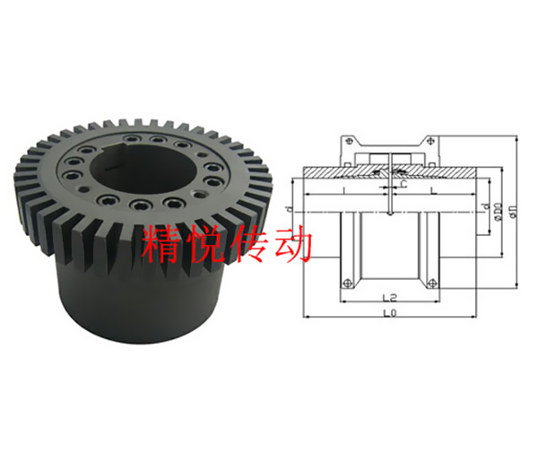 阜阳T05系列快拆式联结蛇形弹簧联轴器